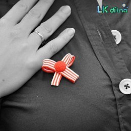 Brož z kolekce Pruhy